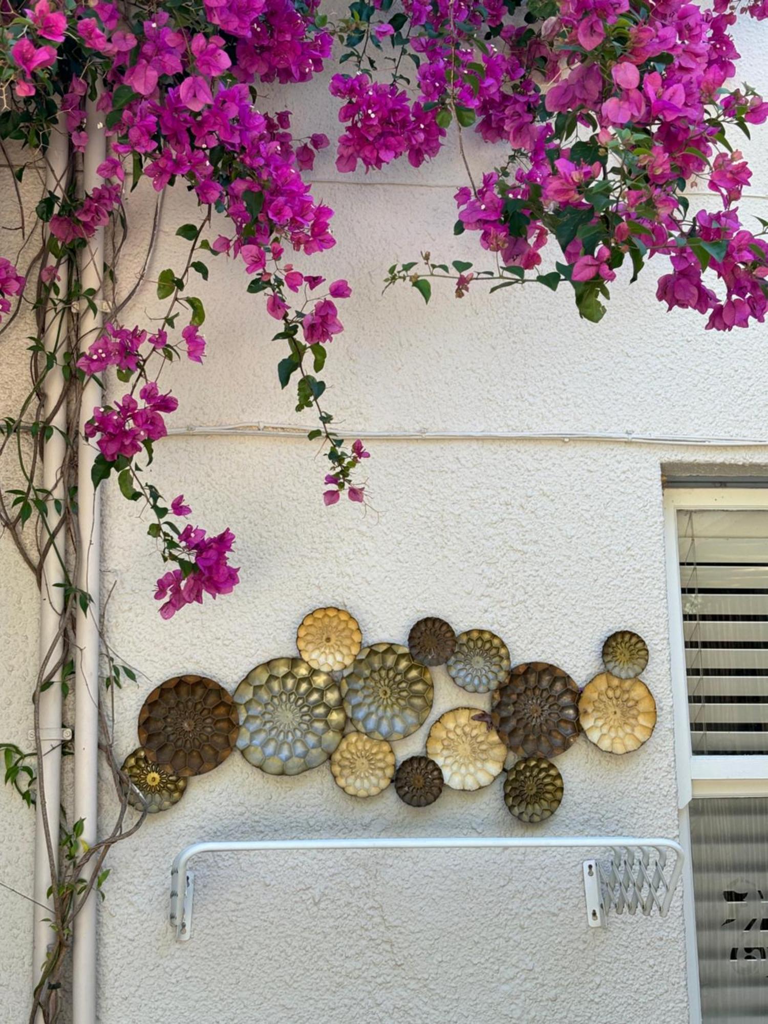 In The Vine Country Manor Guesthouse Stellenbosch Exterior photo